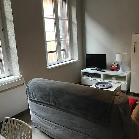 Le Paillot De Montabert Hyper Centre Classe Appartement Troyes